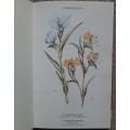 Wild Flowers of the Northern Cape/ Veldblomme van Noord-Kaapland - Author: Jill Adams