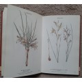 Wild Flowers of the Northern Cape/ Veldblomme van Noord-Kaapland - Author: Jill Adams