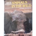 South African Animals in the Wild - Anthony Bannister