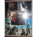 South African Animals in the Wild - Anthony Bannister