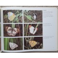 A guide to the Butterflies of Zambia - Author: Elliot Pinhey and Ian Loe