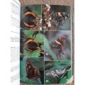 Field guide to Butterflies of South Africa - Author: Steve Woodhall