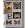 Field guide to the Butterflies of Southern Africa - Author: Ivor Migdoll
