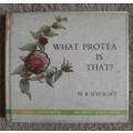 What Protea is That? - Author: H. B. Rycroft