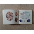 What Sea Shell is that? - Author: G. French and D. Freeman