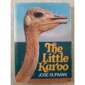 The Little Karoo - Author: Jose Burman