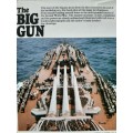 The Big Gun ~ Battleship Main Armament 1860-1945 - Author: Peter Hodges