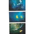 Underwater Africa - Al J Venter