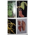 Medicinal Plants of South Africa - Ben-Erik Van Wyk - Bosch Van Oudtshoorn - Nigel Gericke