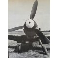Messerschmitt Bf109  At War - Armand van Ishoven