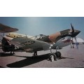 P-51 Mustang - William Newby Grant