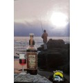 Sedgwick`s Old Brown Rock and Surf Angling Guide Southern Cape  - Vincent Taylor