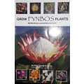 Grow Fynbos Plants - Neville Brown and Graham Duncan