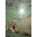 Great Stories of Men and the Animal World - Volume One
