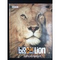 Big Cat Diary: Lion by Jonathan & Angela Scott