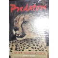 Predators Of Southern Africa