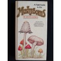 A Field Guide to the Mushrooms of South Africa by Levin, Branch, Rappoport & Mitchell