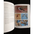 Field Guide to the Birds of the Kruger National Park by Ian Sinclair & Ian Whyte