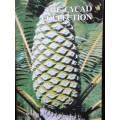 The Cycad Collection - Durban Botanic Gardens