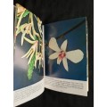Australian Rock & Tree Orchids by Densey Clyne