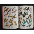 Robert`s Birds of Southern Africa by Gordon Lindsay Maclean