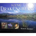 Scenic Drakensberg - August Sycholt