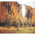 The Pocket Guide to The Kimberley - David Kirkland