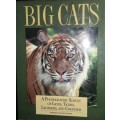 Big Cats - Barbara Radcliff Rogers