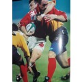 The Story Of The Rugby World Cup South Africa 1995 - Theo De Rijk (owner not author)