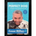 How to Raise the Perfect Dog through puppyhood & beyond by Cesar Millan with Melissa Jo Peltier