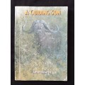 A Guiding Son by John Osborne