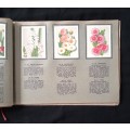 Springbok Cigarette Album for a series of 52 South African Flowers by The United Tobacco Cos.