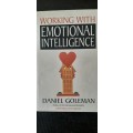 Working with Emotional Intelligence by Daniel Goleman