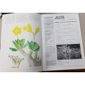 ALOE Magazine.  Journal of the S.A. Aloe and succulent Society. 28, No.3and4 1991