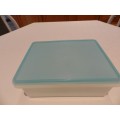 Freezette Plastic Large Rectangular container server/saver with light blue lid.