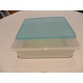 Freezette Plastic Large Rectangular container server/saver with light blue lid.