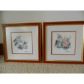 Picture Frame: Set 2x Wooden frame with Judy Rossouw prints of Parrots scene behind glass.