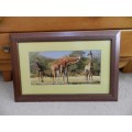 Picture Frame: Framed photo print of Giraffes browsing behind glass.