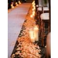 1 000 ORANGE WITH BURNT ORANG EDGES SILK ROSE PETALS - FOR PHOTO PROP/TABLE DECOR/ROMANTIC SETTING