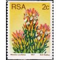 RSA 1977: 3rd DEFINITIVE ISSUE 2c COIL STAMP MNH (SACC436) - incl. DARK VARIETY