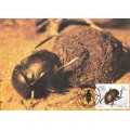 SWA 1987: POSTCARD#50-53 - USEFULL INSECTS - SET OF 4 - UNUSED CTO