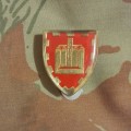 Delmas Commando Beret Badge