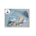 Bluey Themed Personalised Party Boxes (10 boxes)