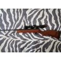 BSA Supersport SE Air Rifle with Bushnell scope and bag