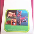 MAKE AN ANIMAL - FROM PRACTICALLY ANYTHING -COLETTE LAMARQUE -64 PAGE A4 HARD COVER WITH DUST JACKET