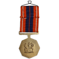 SADF Pro Patria Full Size Medal with Ribbon