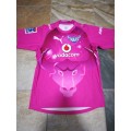 Bulls Superrugby 2016 Pink Charity Jersey in game against Cheetahs no 22