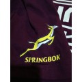 Springbok Asics Casual Tshirt Size L