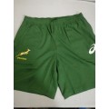 Springbok Training Shorts Size L