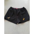 Springbok Training Shorts Size XL